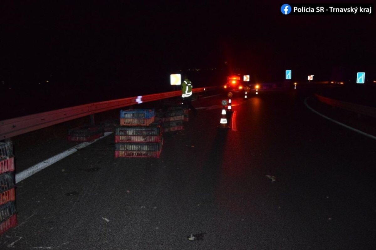 Debničky so sliepkami na D1