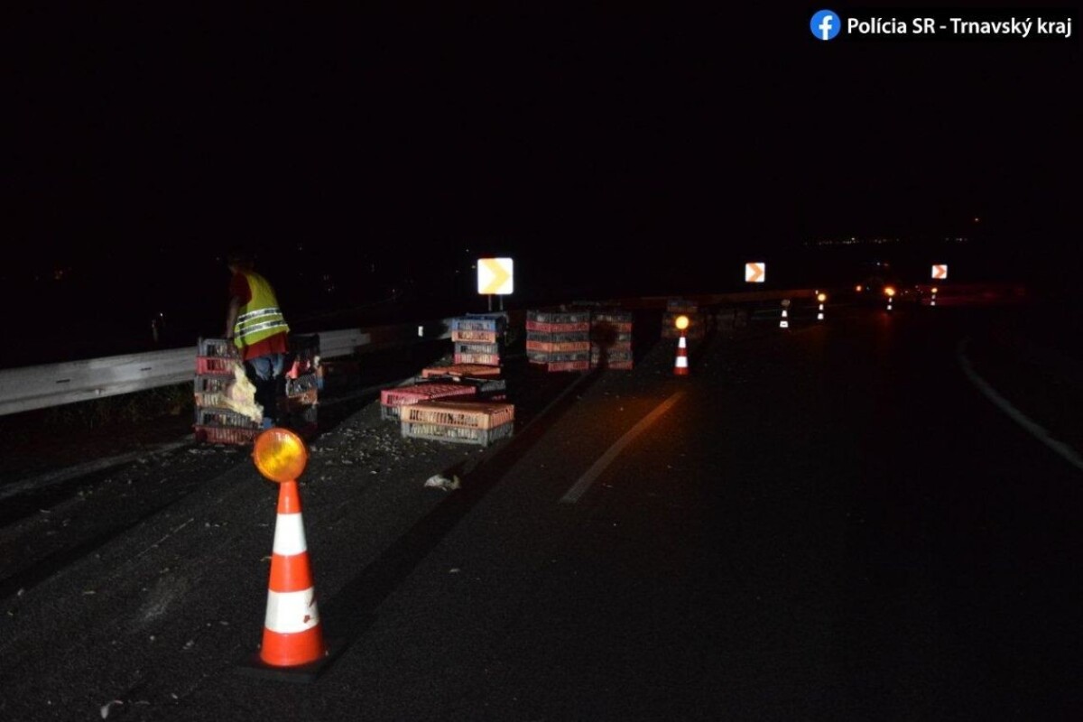 Debničky so sliepkami na D1