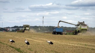 Vojna spôsobila, že ukrajinské prístavy zamrzli v čase. Pripravujú sa na vývoz pšenice