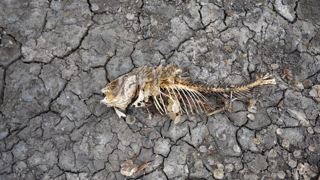 ROZHOVOR Michal Kravčík