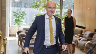 Návrh vyriešiť vládnu krízu odchodom Matoviča aj Sulíka nepadol, tvrdí Gröhling