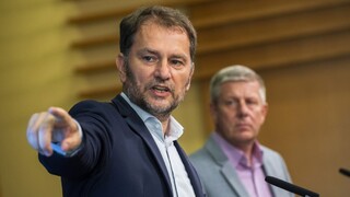 Asociácia súkromných lekárov je nespokojná. Matovičov plán nám napľul do tváre, povedal Marián Šóth