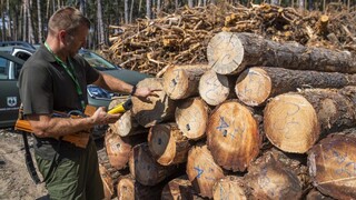 Slovensku hrozí nedostatok kvalifikovaných lesníkov, záujem o tento odbor klesá