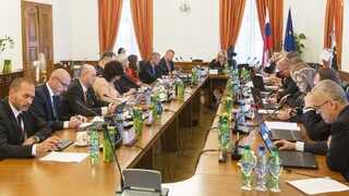 Súdna rada zvolila za kandidáta na ad hoc sudcu Európskeho súdu pre ľudské práva Laciaka