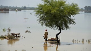 Počet obetí stúpa. Monzúnové dažde v Pakistane si vyžiadali už vyše 1000 obetí