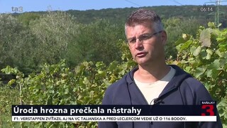 Úroda hrozna prečkala nástrahy počasia. Vína bude menej, ale bude kvalitné, hovorí vinár
