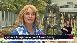vystava_ivett_axamitova_8.jpg