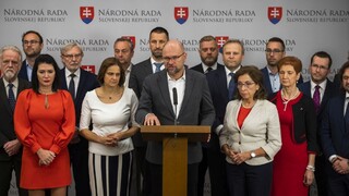 SaS sa necíti byť viazaná dohodami. Poslanci budú v parlamente hlasovať podľa svojho programu