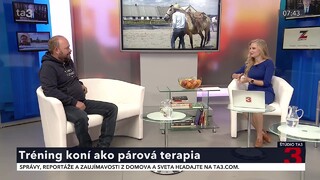 Tréning koní je v podstate párová terapia. Mali by ste nájsť rovnováhu medzi rešpektom a dôverou