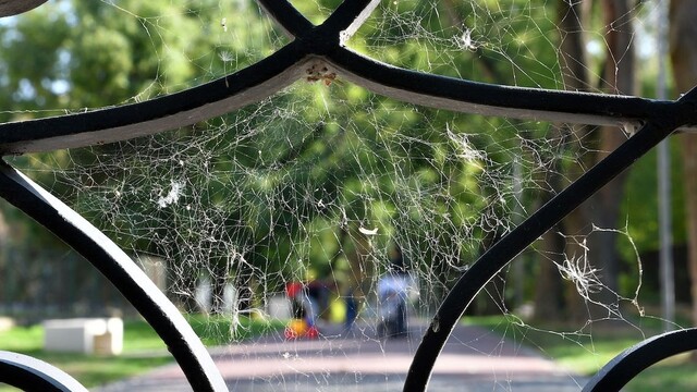 ROZHOVOR: Príde ešte babie leto? Klimatológ vysvetlil, ako vzniká, a či sa v budúcnosti zmení