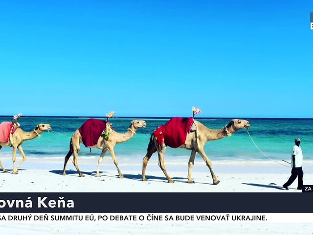 20221021_za_hranicami_kena_7.jpg