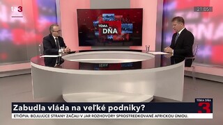 Keď politici kážu umelcom o kultúre / Zabudla vláda na veľké podniky?