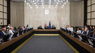 Vláda reaguje na násilné činy mladých na Slovensku. Plánuje podporiť vzdelávanie a zabrániť extrémizmu