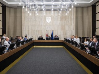 predčasné voľby na slovensku