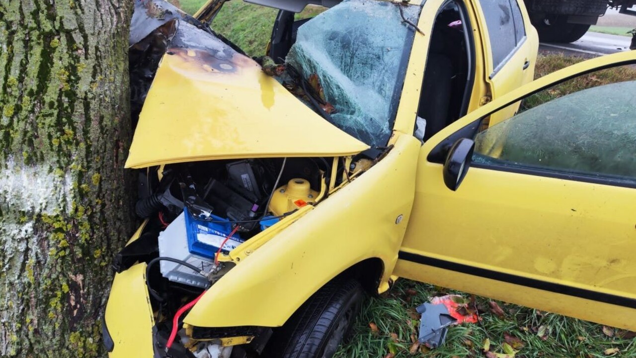 Auto narazilo do stromu a začalo horieť. Vodičovi poskytol prvú pomoc okoloidúci hasič