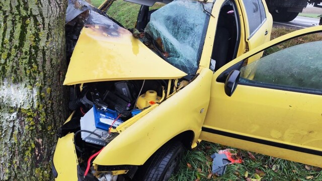 Auto narazilo do stromu a začalo horieť. Vodičovi poskytol prvú pomoc okoloidúci hasič