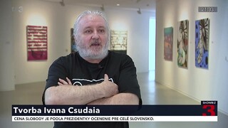 Je laureátom niekoľkých cien. Výtvarník Csudai daroval diela do charitatívnej aukcie