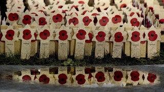 Jedenásty november, deň červených makov,  patrí spomienke na vojnových veteránov