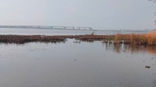 V Chersonskej oblasti sa zrútil strategicky významný Antonivský most