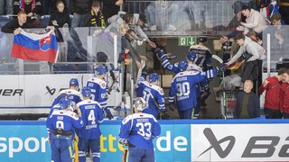 Hokejovú reprezentáciu čaká pred koncom roka turnaj v Bratislave. Nastúpi proti Nórsku a Lotyšsku