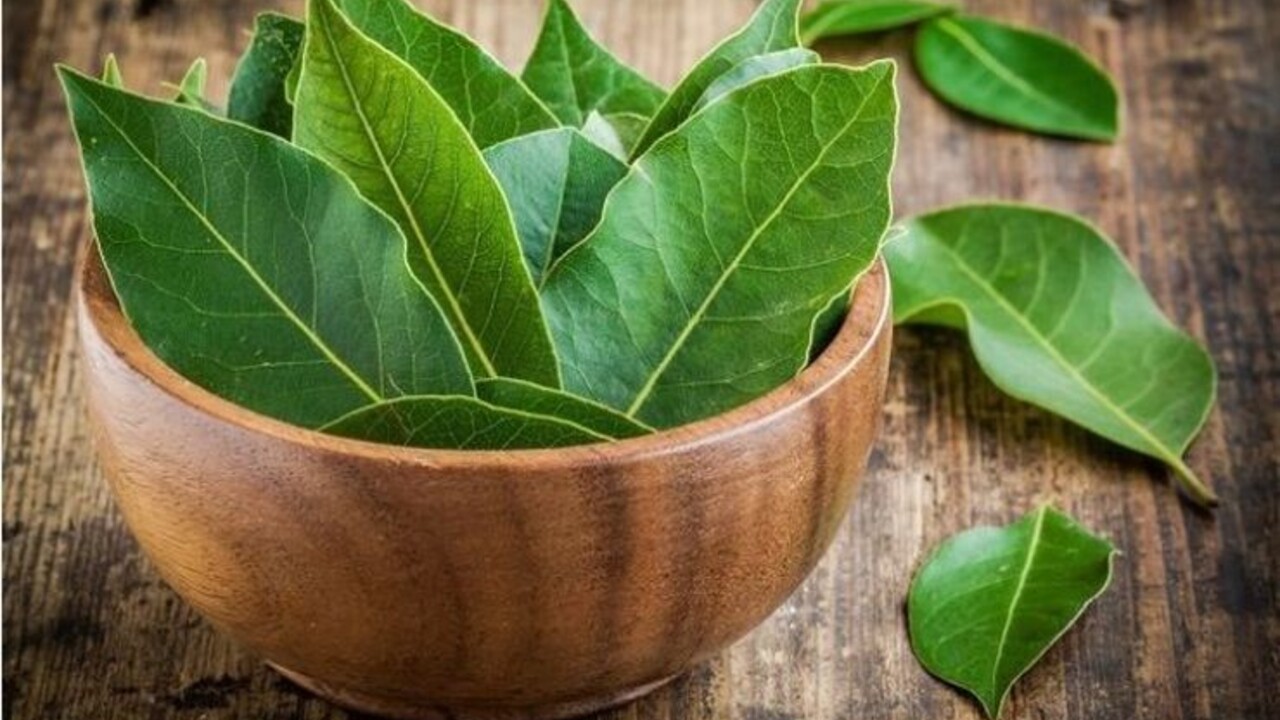 Priložte si bobkový list na čelo a neuveríte, čo sa stane: Za vyskúšanie stojí aj olej či čaj