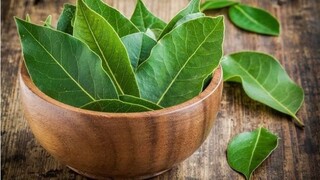 Priložte si bobkový list na čelo a neuveríte, čo sa stane: Za vyskúšanie stojí aj olej či čaj