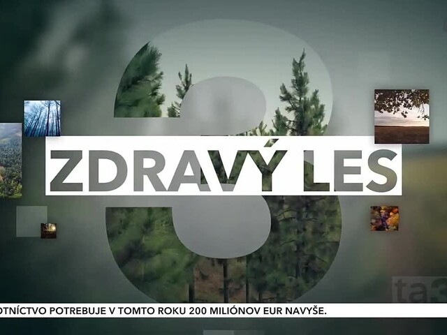 Zdravý les z 15. novembra