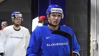 SZĽH sa poďakuje Sekerovi za reprezentáciu Slovenska na svetových šampionátoch