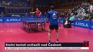 pingpong_3.jpg