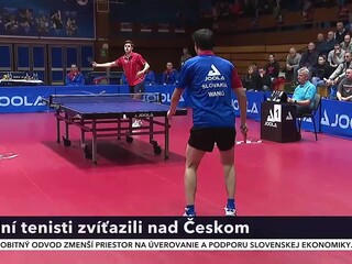 pingpong_3.jpg
