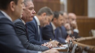 Zamestnávateľom prekáža nastolenie návrhu o zvýšení odvodu pre vybrané firmy