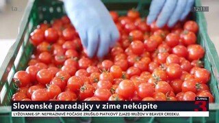 V zime sa k slovenským paradajkám nedostanete. Pestovatelia museli zastaviť produkciu pre vysoké energie