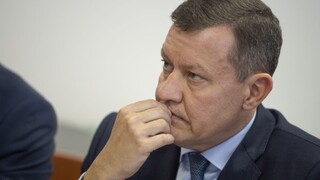 Znižovanie trestov sa Lipšicovi nepozdáva. Myslí si, že sa stíhaní oligarchovia snažia vyviaznuť s miernym trestom