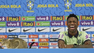 Brazílsku tlačovku prerušil nevídaný moment, počas prejavu Viníciusa Júniora na stôl vyskočila mačka