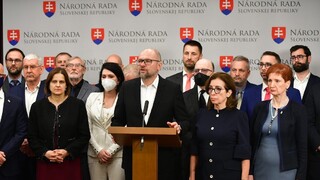 Čo bude ďalej? SaS sa prikláňa k rekonštrukcii vlády alebo k vláde odborníkov