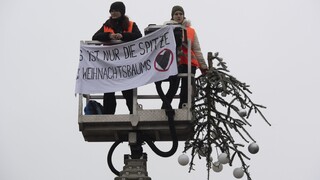 Ďalšia akcia klimatických aktivistov. V Berlíne odpílili vrchol vianočného stromčeka pred Brandenburskou bránou