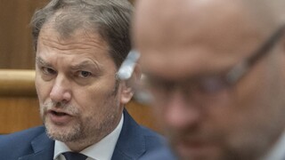 ROZHOVOR: Šanca na koalíciu s SaS tu je. Heger musí prekročiť svoj tieň a konať bez Matoviča, hovorí Malová