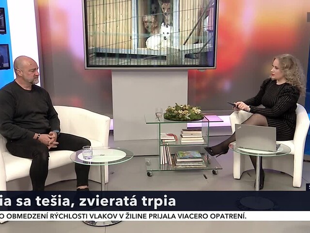 Zo zábavnej pyrotechniky sa ľudia tešia, no zvieratá trpia. Ako zmierniť strach zvierat či ich od toho úplne ochrániť?