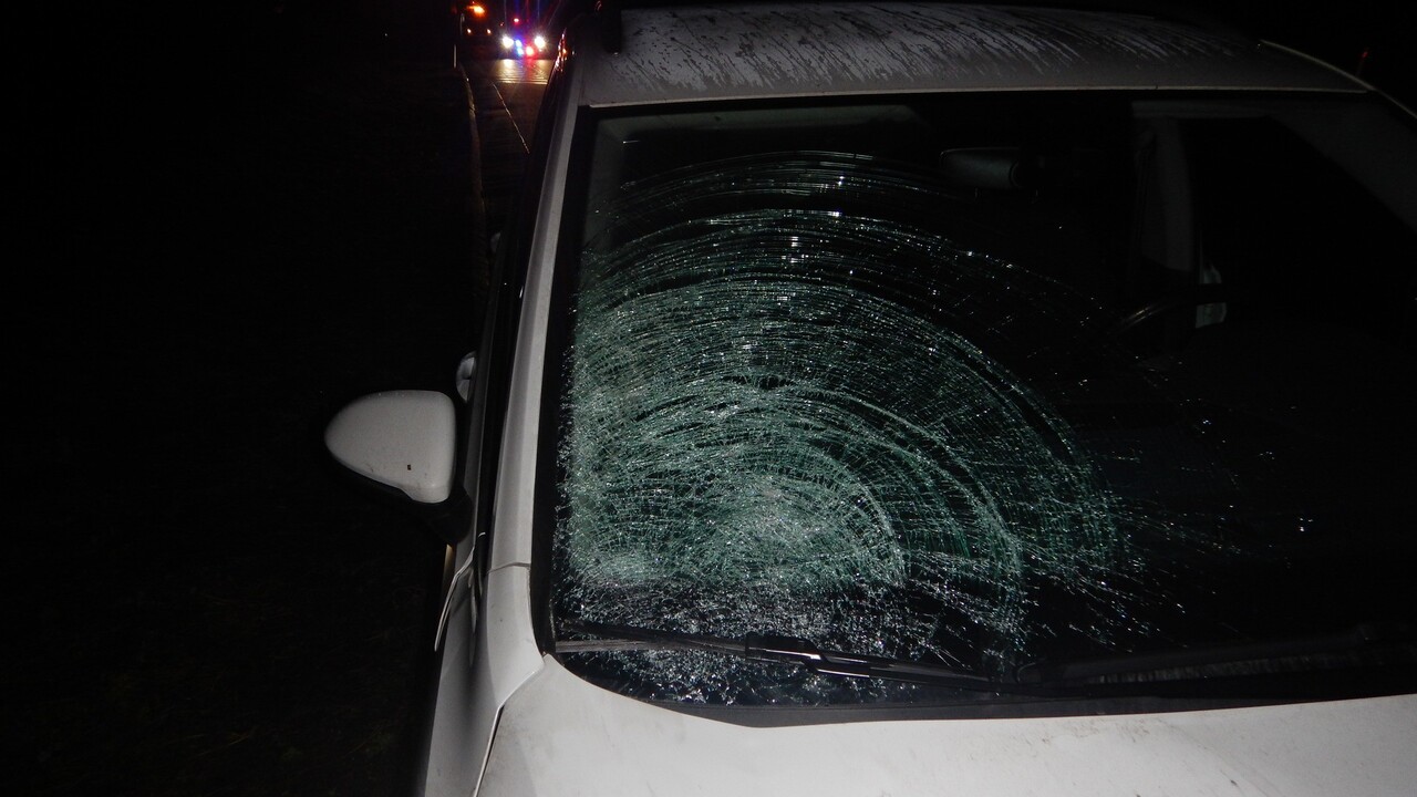 Tragédia na R1. Zahynulo 14-ročné dievča, ktoré vošlo do cesty autu