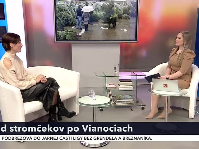 Dotvárajú čaro Vianoc a sú ozdobou našich domácností. Aký je osud stromčekov po sviatkoch?