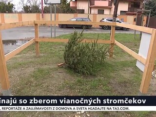 strom_4.jpg