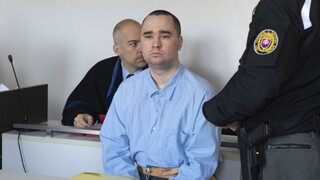 Vražda študentky na internáte: Volodymyr ide za mreže, absolvuje aj psychiatrické liečenie