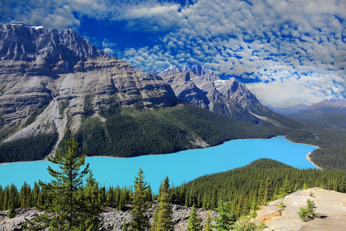 Peyto Lake, Kanada