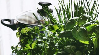 Netreba záhradu ani balkón: Tieto bylinky vypestujete aj v kuchyni a ušetríte za nákup