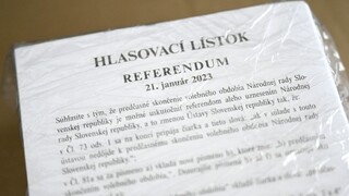 Referendum 2023: Ako postupovať po vstupe do volebnej miestnosti?