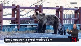 Medveď uhryzol bežca v Kanianke v okrese Prievidza. Mužovi sa šelmu podarilo odplašiť