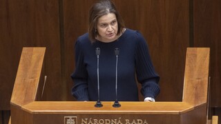 Kolíková navrhla, aby bolo možné skrátiť volebné obdobie len uznesením