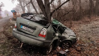 Tragická dopravná nehoda v okrese Levice. Vodič neprežil náraz do stromu