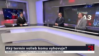 Kedy budú predčasné voľby? Ak strany nemajú superstar, musia o sebe dať vedieť, myslí si Hřích