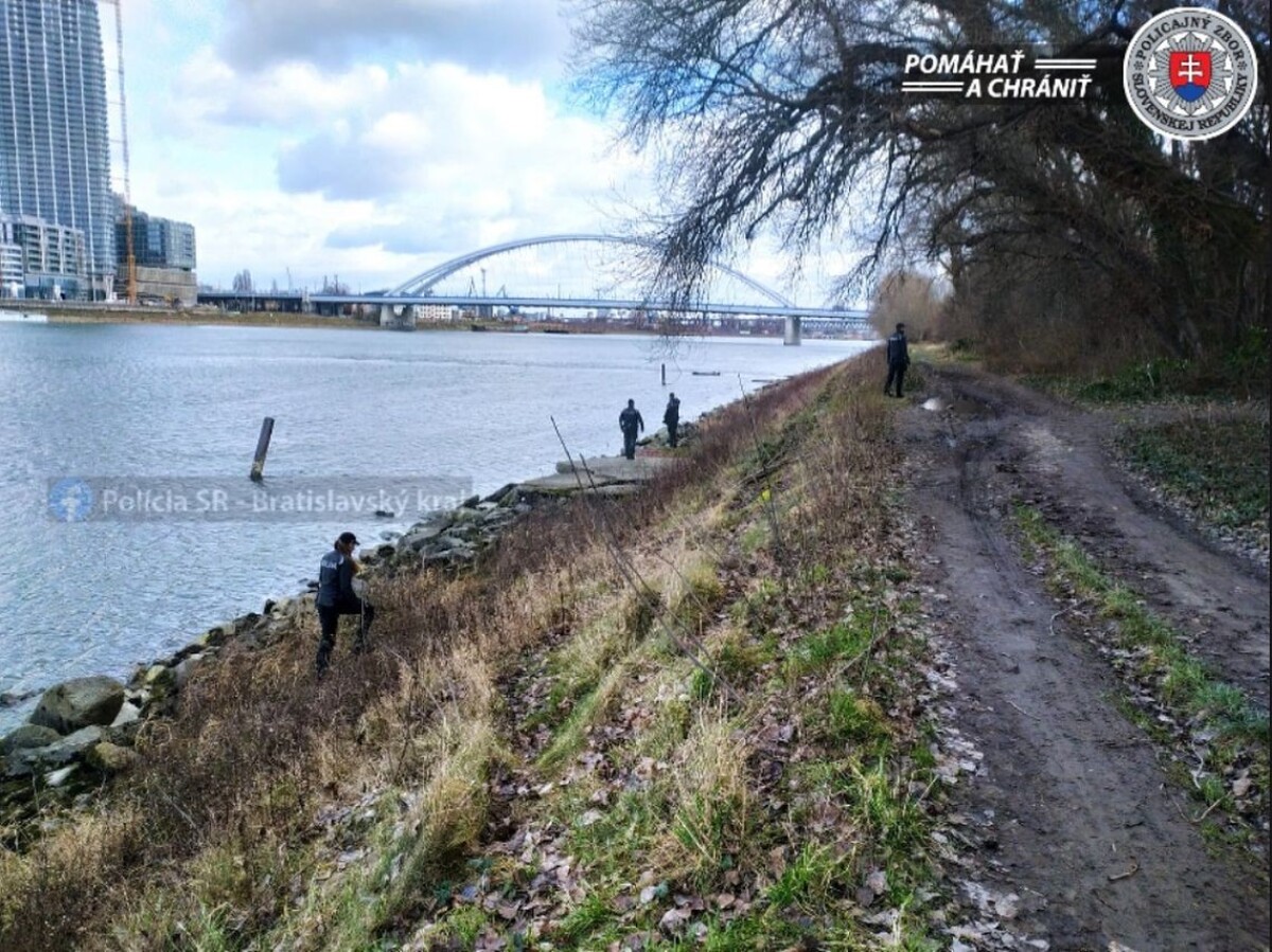 Pátranie po nezvestnej